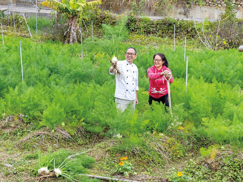 矢志復興客家香草的文學魂