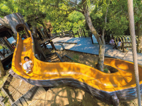 來當森林小泰山！  大坑風動石公園 結合自然與體能的遊樂場