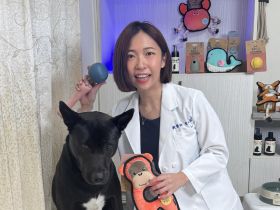 從白袍到螢幕前的守護者——獸醫Emily用網路守護萬千毛孩健康