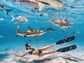 跟團旅行的全新體驗！烏托邦旅程攝影團隊，讓每一趟旅行擁有更精彩的回憶