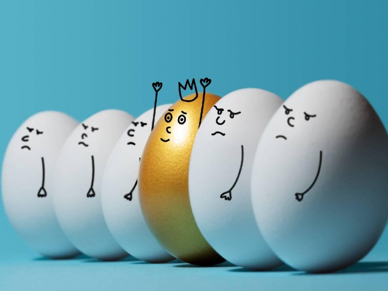 00878、00919、00713...今年以來績效王是它！一表看高股息ETF前10強，別盲追殖利率的理由是...