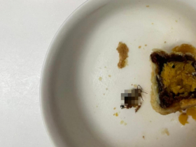 女控「蛋黃酥包蟑螂」！不二糕餅提告誹謗，北檢「1原因」不起訴…業者發聲：盼給機會到案解釋