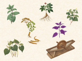 跟著自然的鬧鐘過日子 節氣好時光