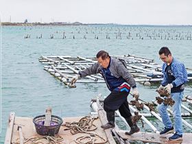 換腦袋救缺工系列3—「現在年輕人寧願去跑外送！」務農人口凋零仰賴移工政策