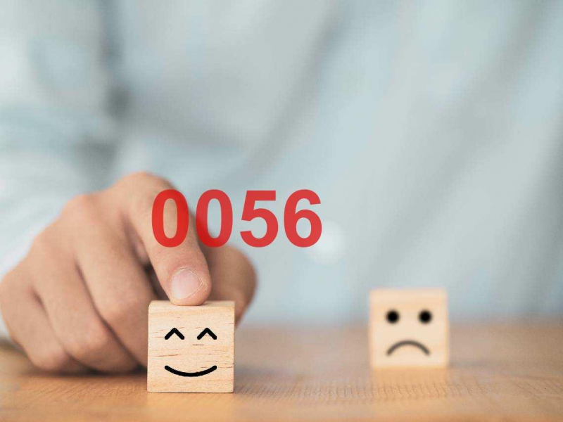 報酬率輸0050就沒價值？看完這5點，秒懂高股息、市值型怎麼挑：all in 0056才不會睡公園