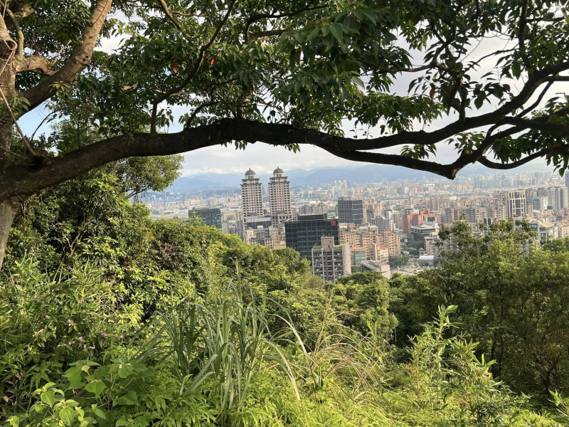 「一人搭捷運去爬圓山！」謝金河揭「免走回頭路」秘境：多條山徑任意穿梭，比去大安森林公園有趣