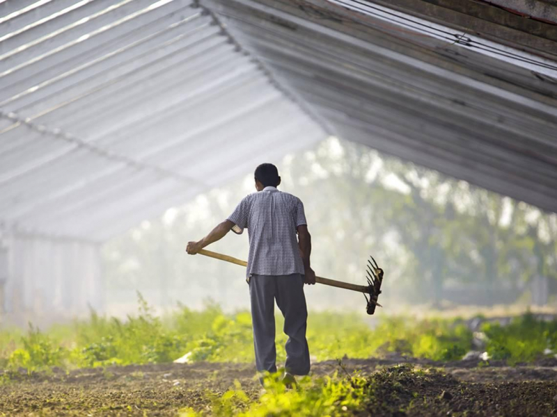 我的岳父是身價幾十億大地主！高中沒畢業、種田50年...他投資「3個東西」自動賺到70多歲！揭岳家致富心法