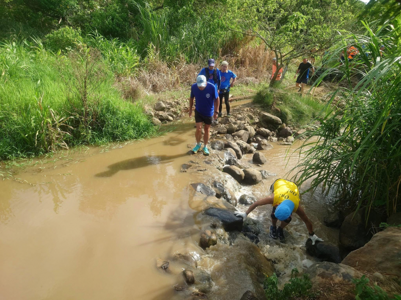 酷夏走進田間小路，有感大自然的規律！謝金河：盛衰無常、物極必反，投資市場更是如此