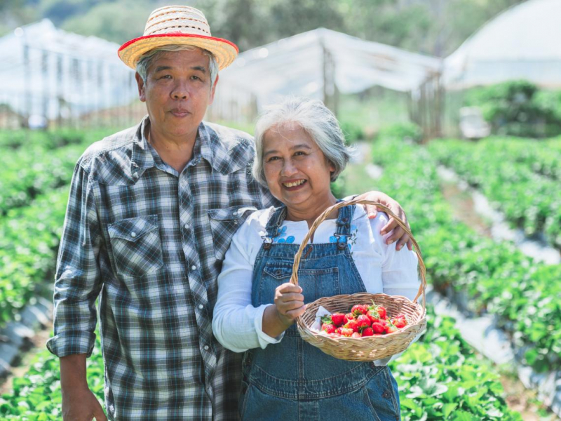 65歲夫妻退休搬到鄉下，住3年崩潰「月領5萬年金不夠花，比都市還燒錢」...老後移居先想清楚3件事