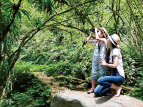 親子旅玩一夏