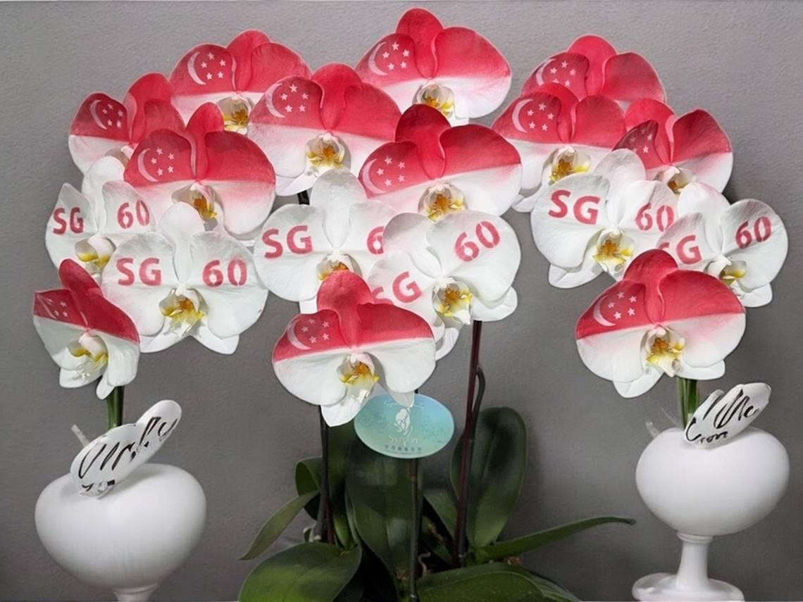 台灣獻禮新加坡獨立60週年，從蘭花、高山茶到餅乾限量禮盒，駐星代表童振源：展現對星國的情誼與祝福