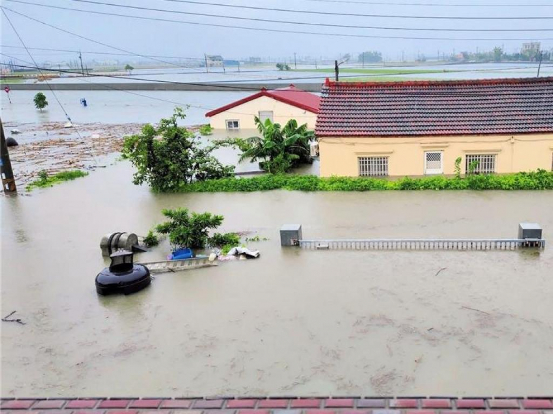 嘉義淹水直擊／暴雨逾400毫米逢大潮…朴子新港泡水裡、洪水襲擊養豬場豬仔哀鳴「稻田路面全分不清」