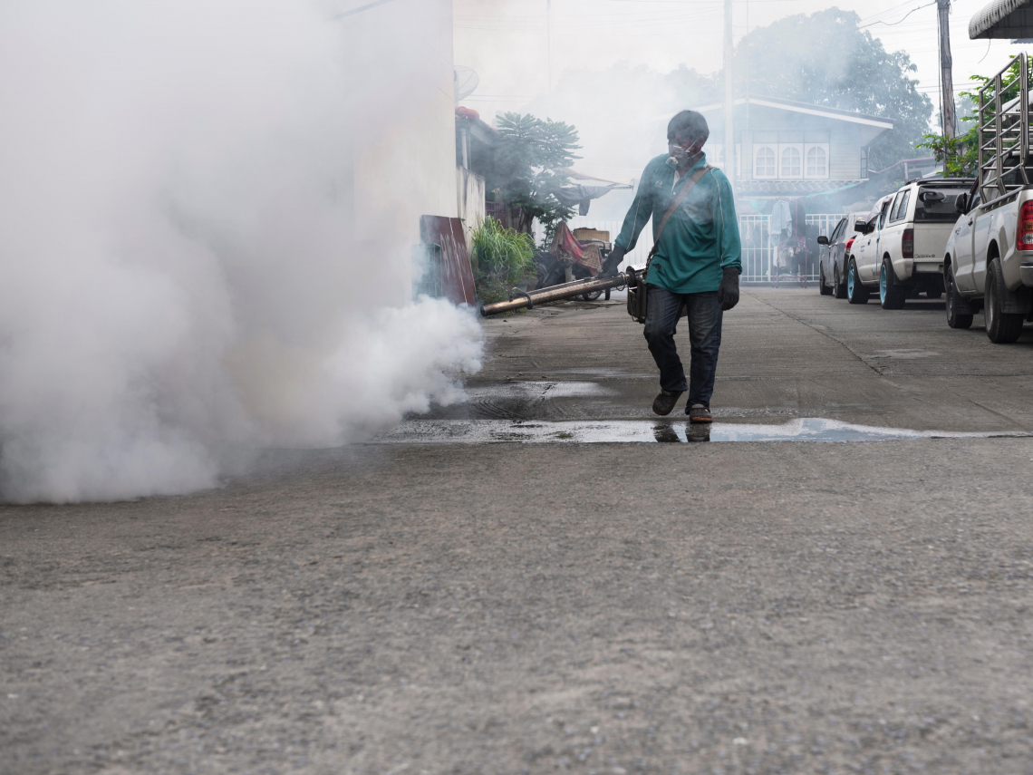 屈公病是什麼？沒特效藥醫、台灣沒疫苗！關節會痛到炸裂、高燒長疹…醫：致命生物藏家中如何避免被咬？