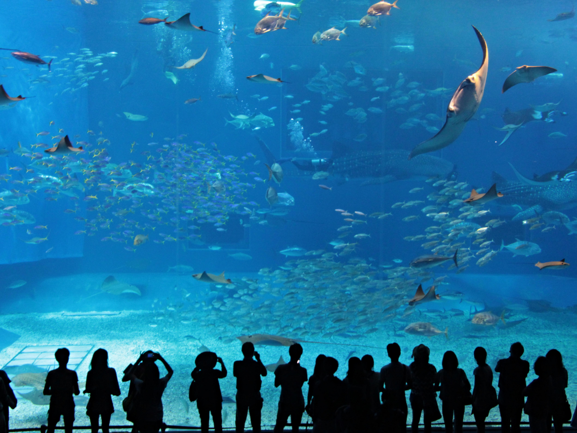 存股助理第674期｜沒有終極完美的投資組合，只有最適合當下自己的組合｜股池更新