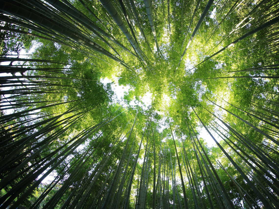 生物多樣性重要嗎？如何量化與價值化？三大面向帶你掌握核心關鍵