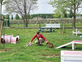 台灣寵物數量破二七九萬隻  高齡化催生保健新商機　毛孩長壽時代來臨 從「吃」開始的抗老照護術