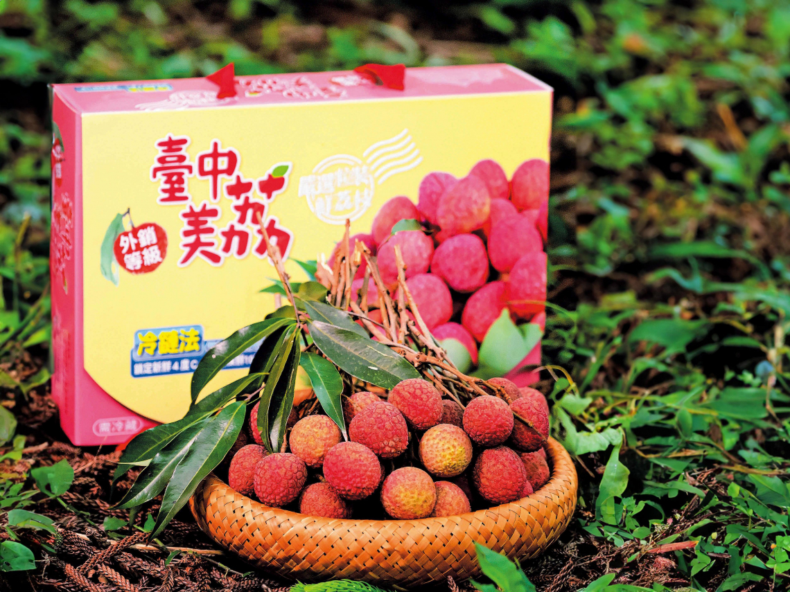 台中美荔  甜蜜商機  「荔」保鮮甜！冷鏈技術大公開