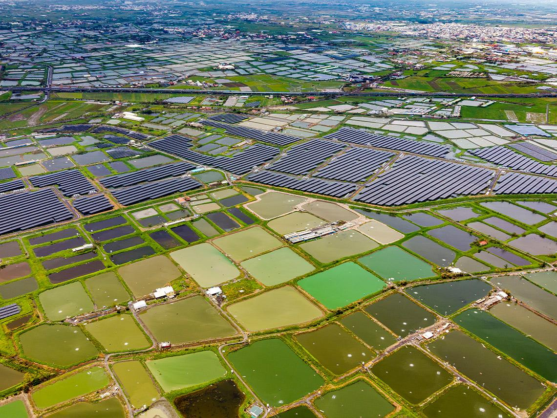 養殖戶阿玉姊的憤慨： 規定說改就改、案場3年原地打轉…我們的努力一再被政府踐踏  漁電共生為何變雙殺？