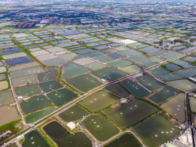 漁電共生成幻影？一紙公文推翻光電規則，漁民主導案場3年心血恐打回原點，嘆「人為風暴」比天災更難測