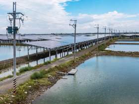 政策走調╲電桿既存40年喊拆、土堤也要占遮蔽率額度 鎖案就沒事  漁電審查荒謬實錄