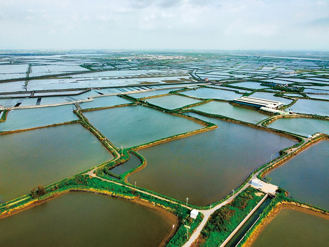 新制爭議╲擁20萬公頃國有地　說好釋出挺綠能？ 國產署一紙新規密令  卡死42案