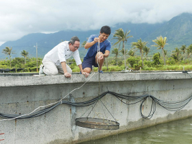 夫妻攜手養出鮮甜海水蝦