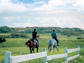 馬場人生的呼喚