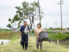 漁電雙殺系列1—養殖戶阿玉姊的憤慨：規定說改就改、案場3年原地打轉…努力一再被政府踐踏