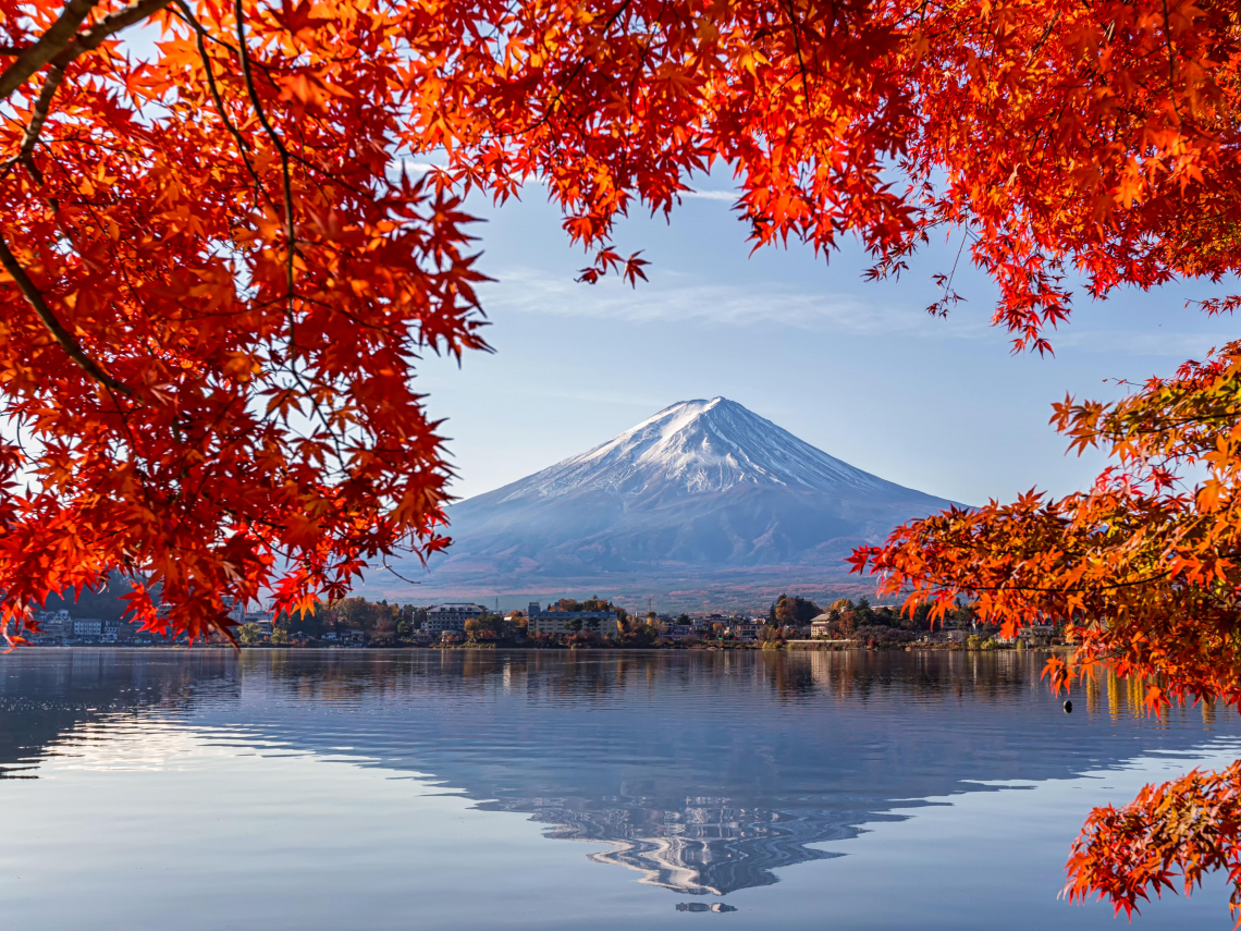 2025日本楓葉、紅葉見傾日最新預測！東京、大阪、京都…17人氣賞楓景點、最佳賞楓時間懶人包