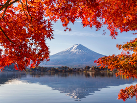 2025日本楓葉、紅葉見傾日最新預測！東京、大阪、京都…17人氣賞楓景點、最佳賞楓時間懶人包