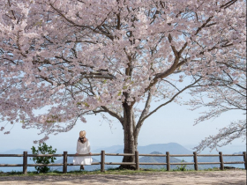 每句「我沒事」都是求救信號！憂鬱人變開朗、斷捨離…醫示警3大「隱形遺書」：這樣做挽救悲傷結局