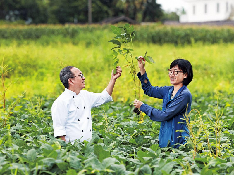 流汗播種  歡呼收割
