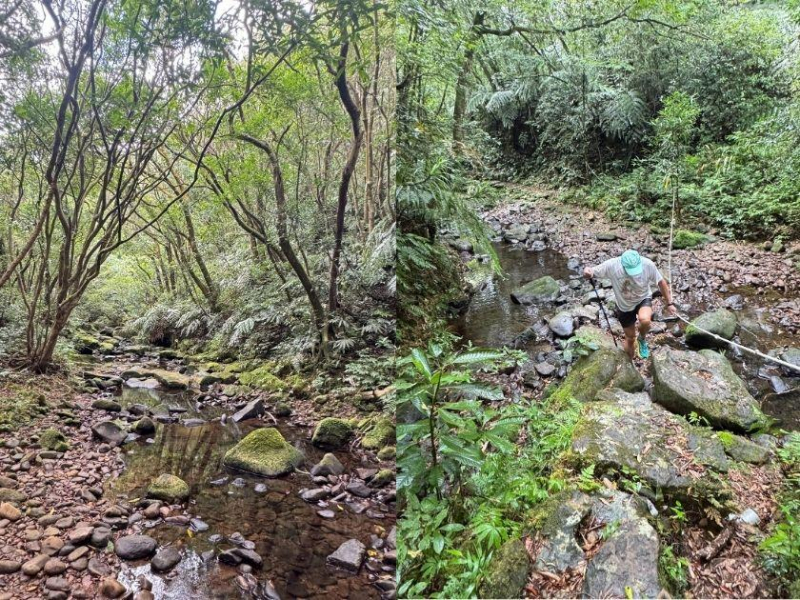 穿梭溪澗與山水之間，整座山只有我們！走過三方向山、沿北勢溪支流而行，謝金河：這才是我的最愛
