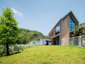 為最弱小生命發聲，新北市打造亞洲動物友善城市典範  十二項全國首創動保政策引領潮流，國際認養啟動讓世界看見臺灣