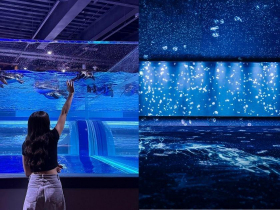 台中海洋館》全台首創開放式展缸！8大展區特色、參觀路線、交通方式、周邊景點…一日遊這樣玩