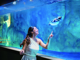 驚喜探索海底世界  海線絕美新地標！ 暢遊台中海洋館