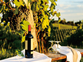 葡萄酒的危機與價值