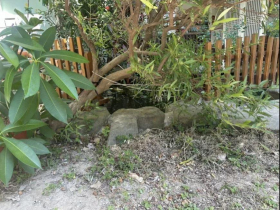 竹北1歲童溺斃幼兒園內25公分深生態池，負責人坦言是滯洪池…非第一次發生失足落水，事情怎麼發生的