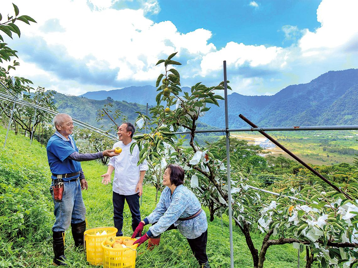 由綠轉紅的秋味
