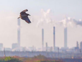 台塑四寶只剩它Q3虧錢…這2檔目標價喊5字頭：有2成甜頭能嚐！3原因塑化股後市還有戲