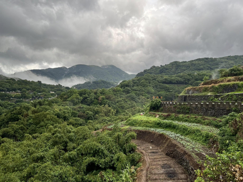 捷兔賽跑攻略大湖公園，觀池畔白鷺絲、川湯泡溫泉…謝金河：人生的另一種風情