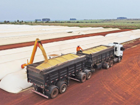 中國停買美貨轉向南美  衝擊雨林草原生態系 美中角力重塑大豆貿易版圖 富了巴西賠上地球？