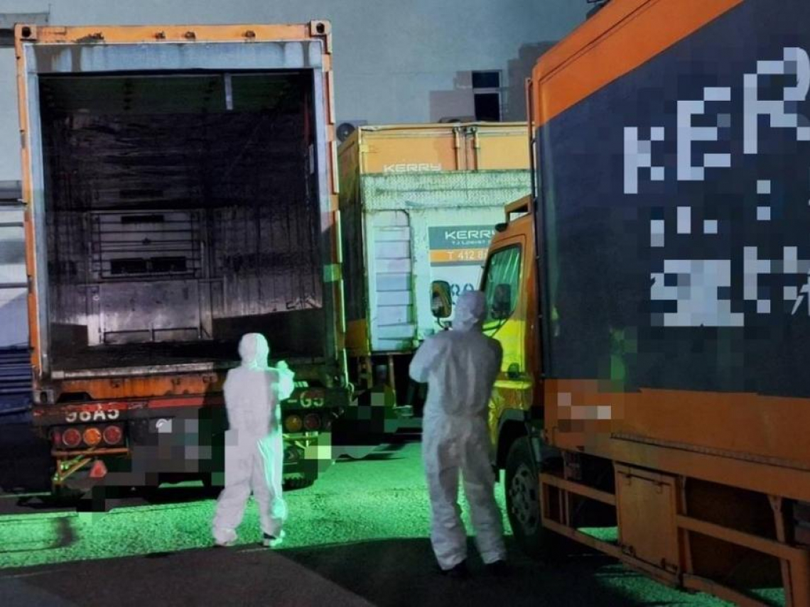 載300公斤疑非洲豬瘟肉進高雄！知名貨運避稽查「拒透露物流車位置」…衛生局怒開鍘最高罰300萬