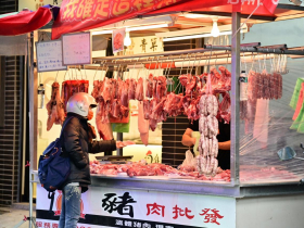 防堵非洲豬瘟！卓榮泰宣布：禁宰、禁運、禁止廚餘養豬「再延長10天」...5項新工作一次看