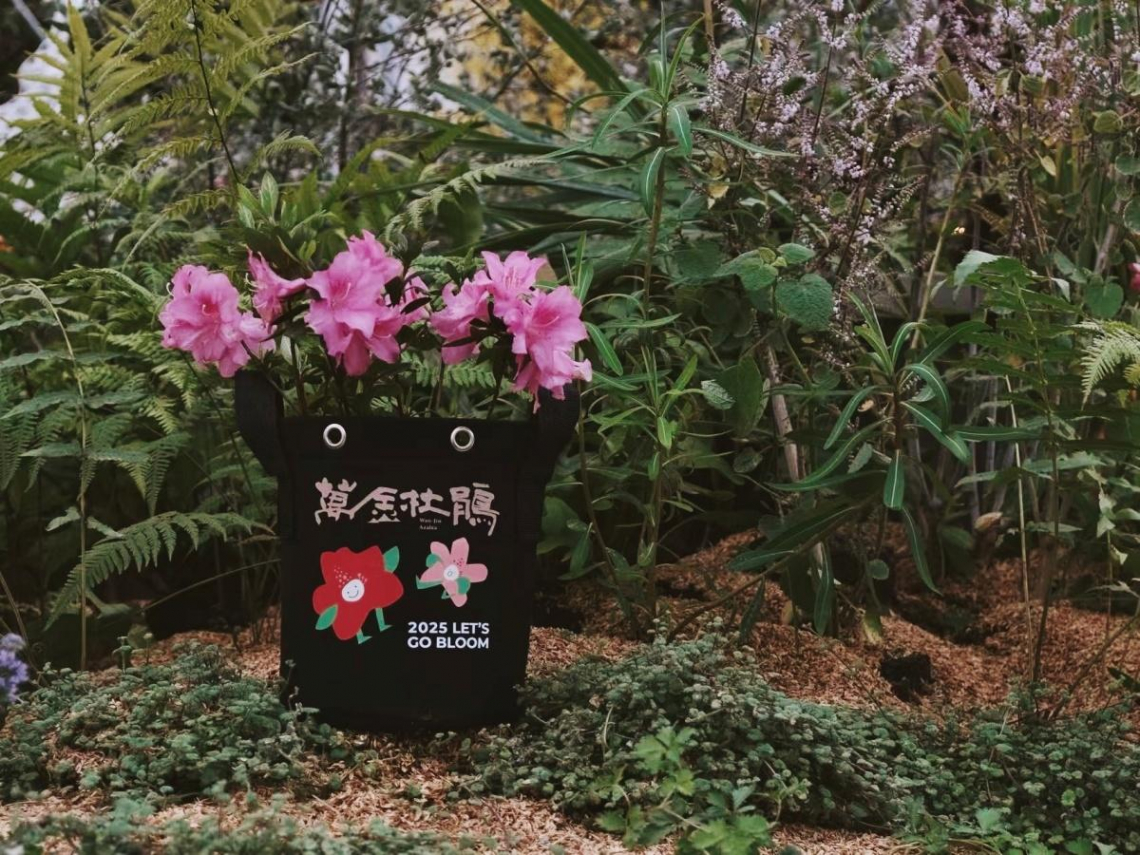 秋遊萬金 杜鵑小旅行限量優惠中