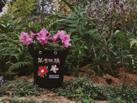 秋遊萬金 杜鵑小旅行限量優惠中