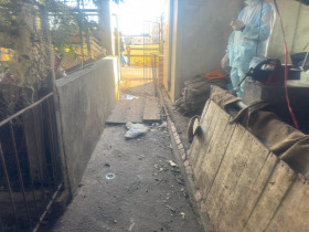 非洲豬瘟案場清消後，仍有病毒DNA...中市府連夜補考做4件事！卓榮泰喊話：我們共同敵人是病毒