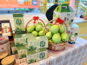 2025彰化社頭織襪芭樂觀光節12/12-12/14盛大登場