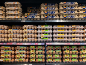 芬普尼雞蛋15萬顆流入全聯楓康等通路！毒雞蛋9款品牌、溯源碼曝光，怎麼退款？芬普尼蛋吃了會怎樣？