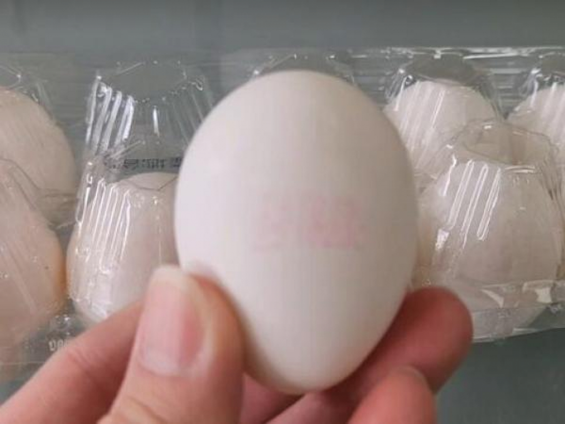 芬普尼蛋再驗出！彰化文雅畜牧場複驗又超標，羽毛濃度高於蛋…疑「灑雞身除蝨」？回收多少顆？